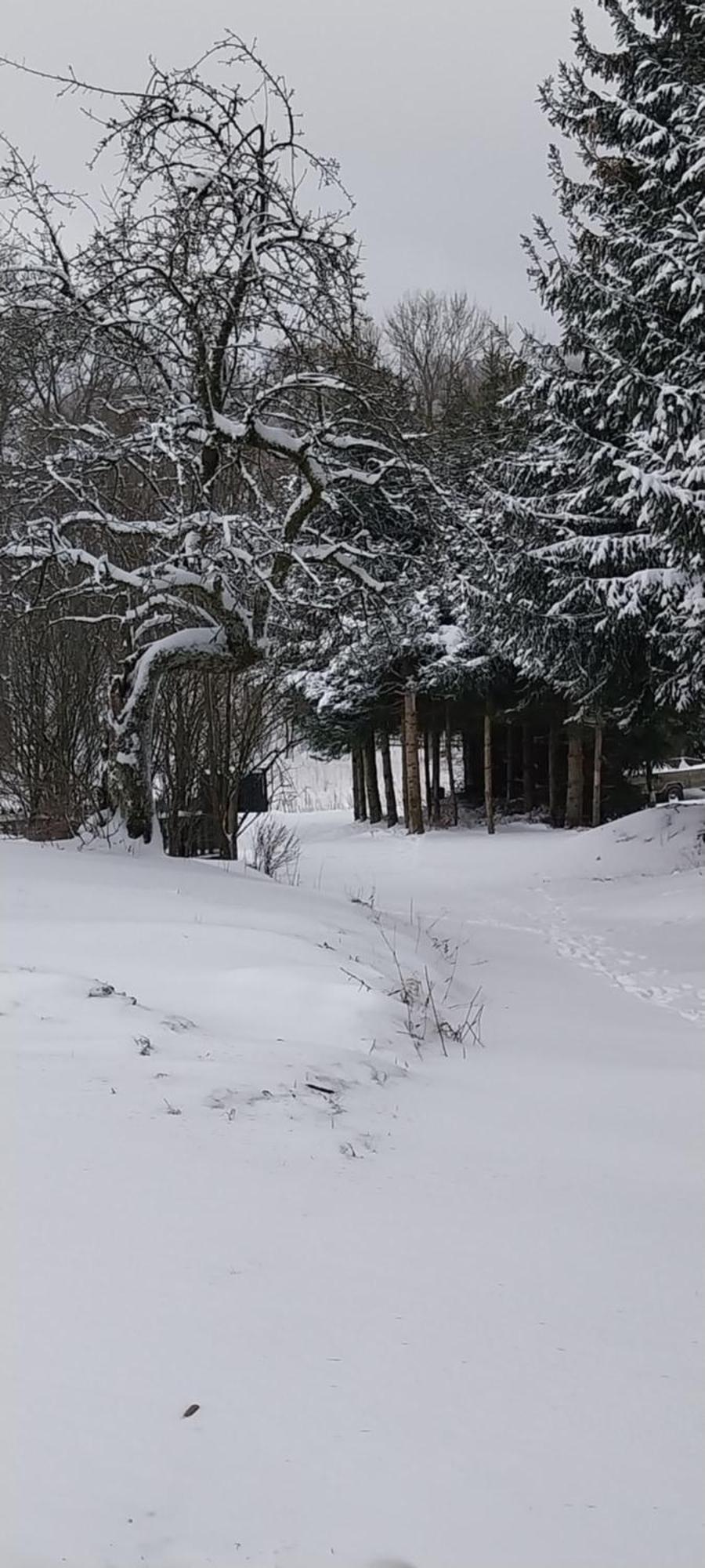 Gosciniec Sliwkowy Sad Farm stay Miedzylesie (Silesia)