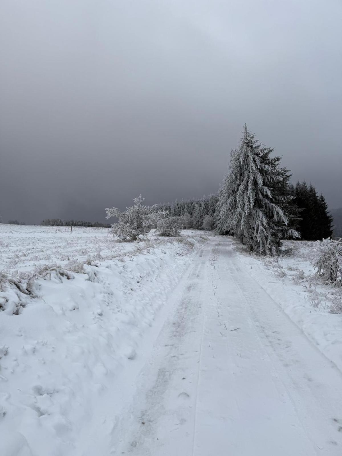 Gosciniec Sliwkowy Sad Farm stay Miedzylesie (Silesia)